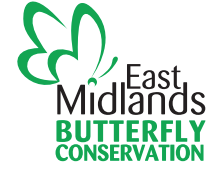EAST MIDLANDS BUTTERFLY CONSERVATION LOGO