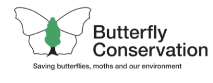 BUTTERFLY CONSERVATION LOGO